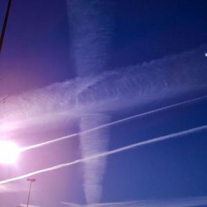 Meet your Posher, Cecelia